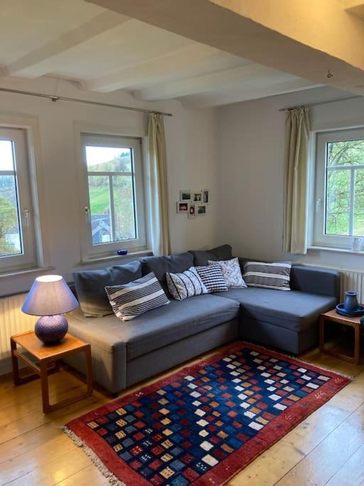 Ferienwohnung Am Alten Backhaus Bad Berleburg Esterno foto